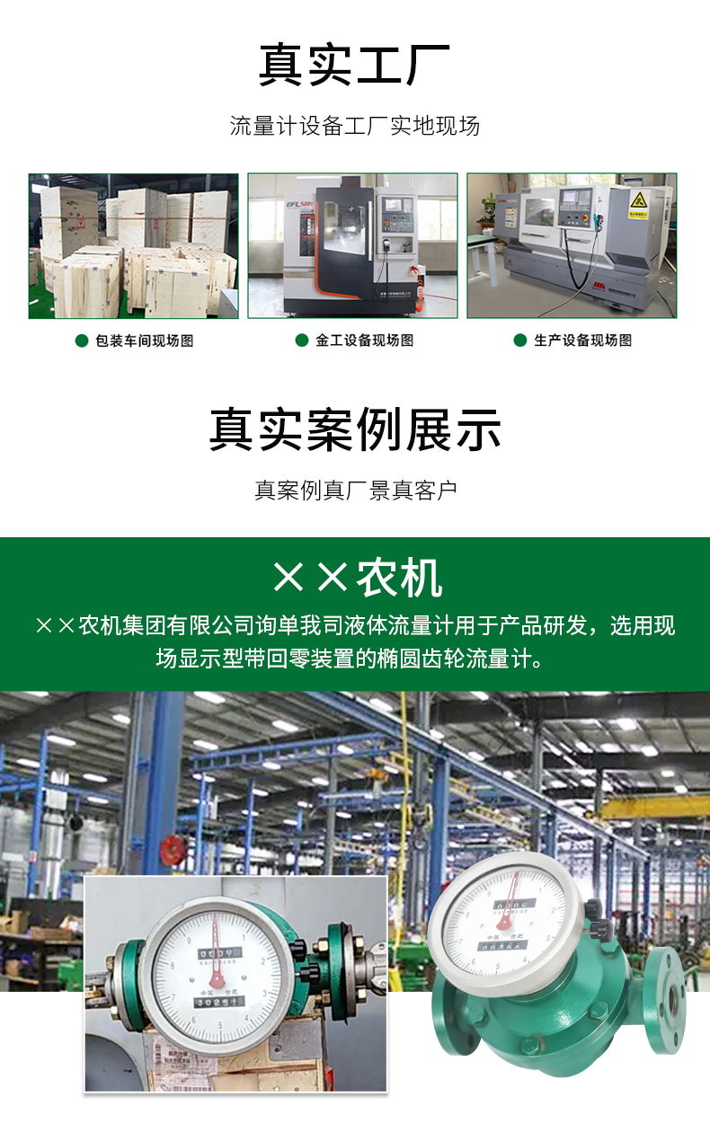 椭圆齿轮流量计20220614_06.jpg